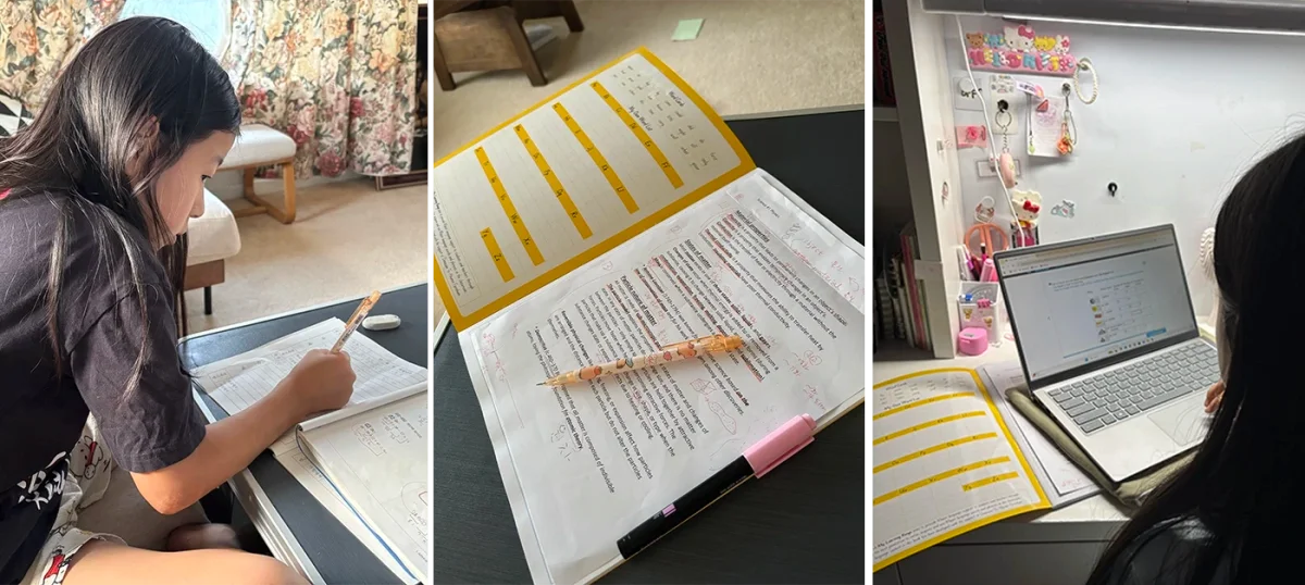 Home learning session