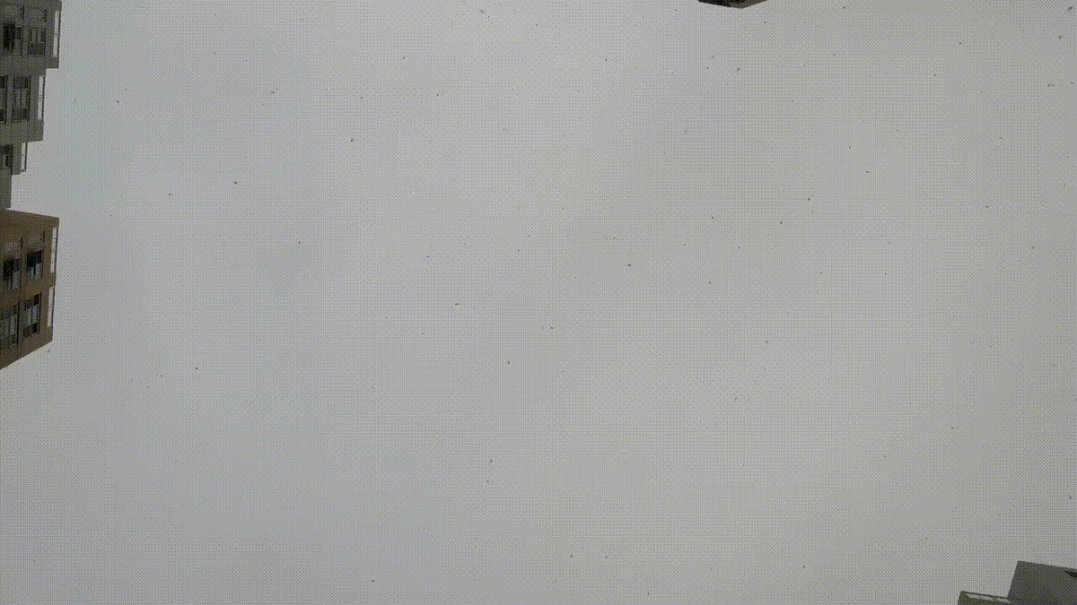 Leaving winter behind, stepping into summer.