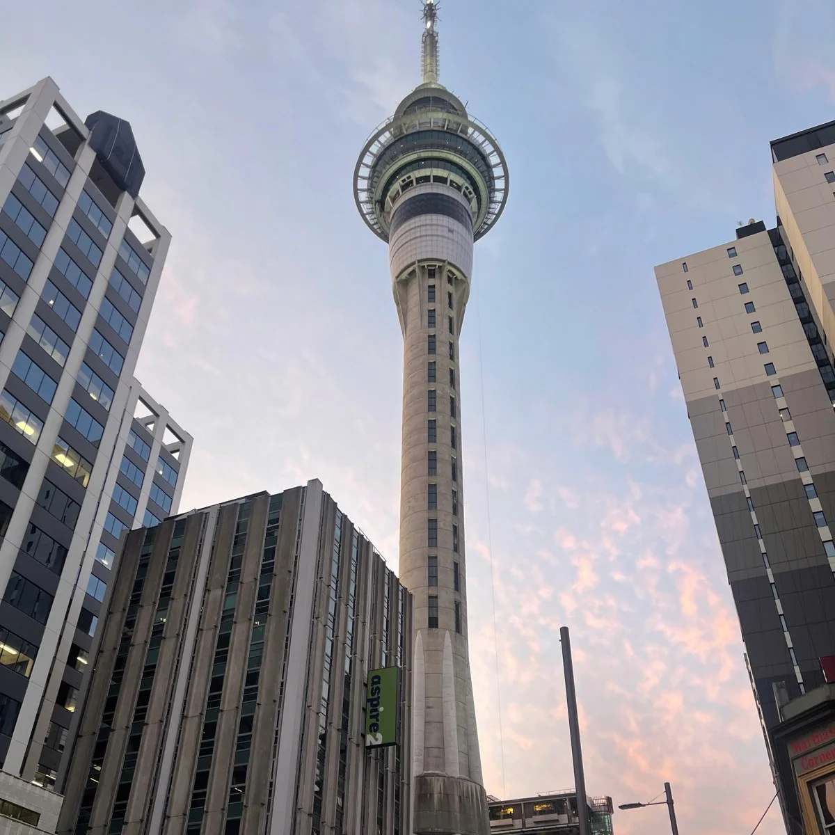 Yumin cheered watching a bungee jumper from the Sky Tower