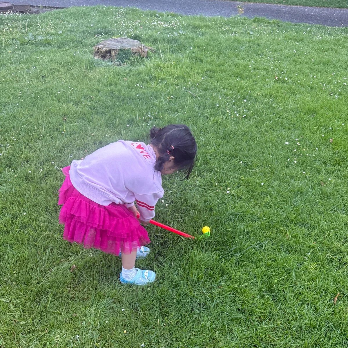 A house with a lawn—life is always unpredictable