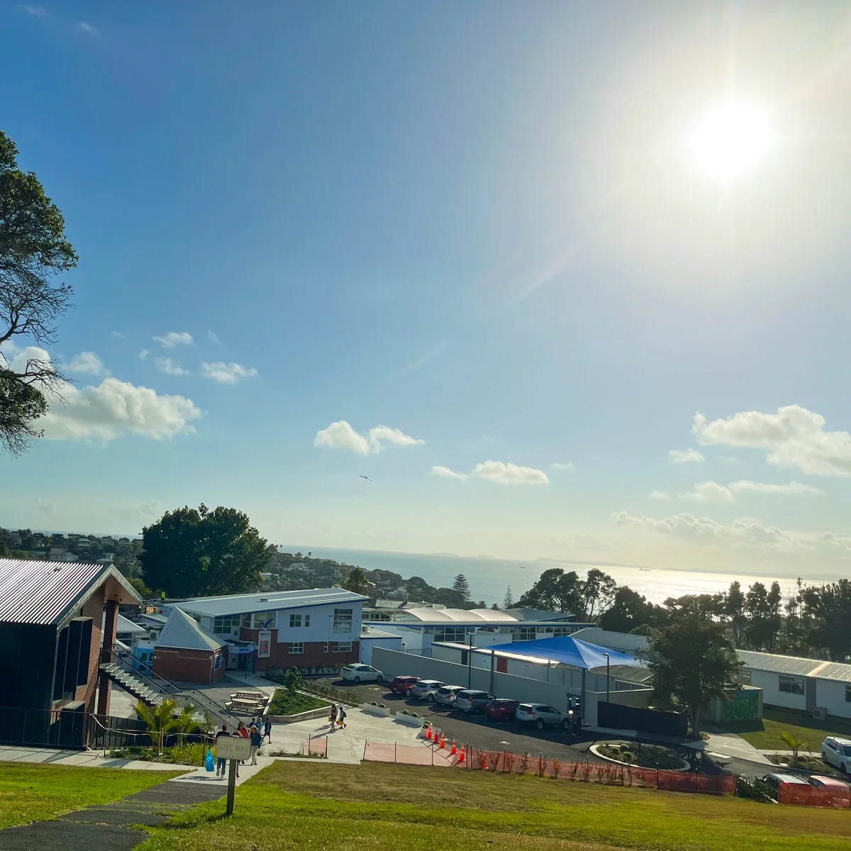 Trading artificial turf for real grass: they're thriving