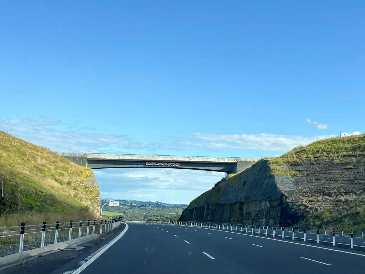 Look, it's New Zealand