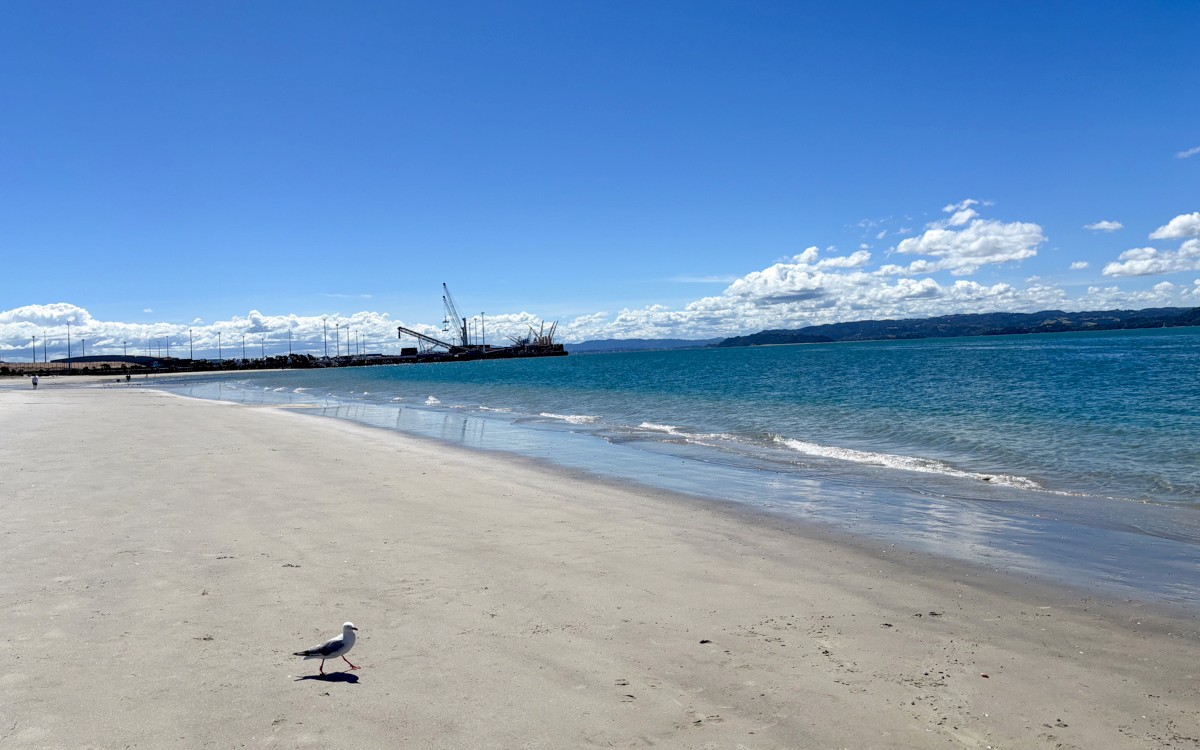 A Day at Ruakākā Beach